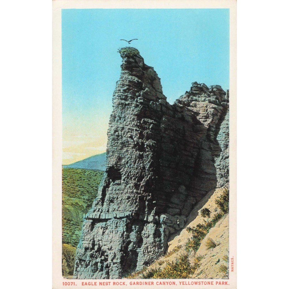 Eagle Nest Rock Gardiner Canyon Yellowstone Park Haynes Vintage Postcard 10071